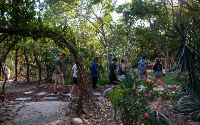 Visite à pied authentique : trésors cachés de Puerto Vallarta photo 10