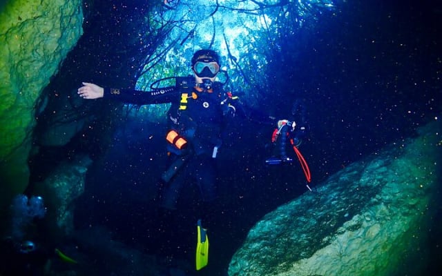 Discover Scuba Diving at Casa Cenote No Certification Needed photo 14