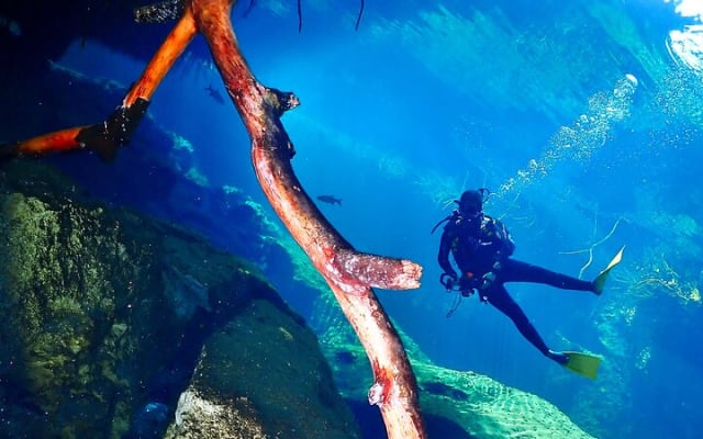 Discover Scuba Diving at Casa Cenote No Certification Needed photo 15