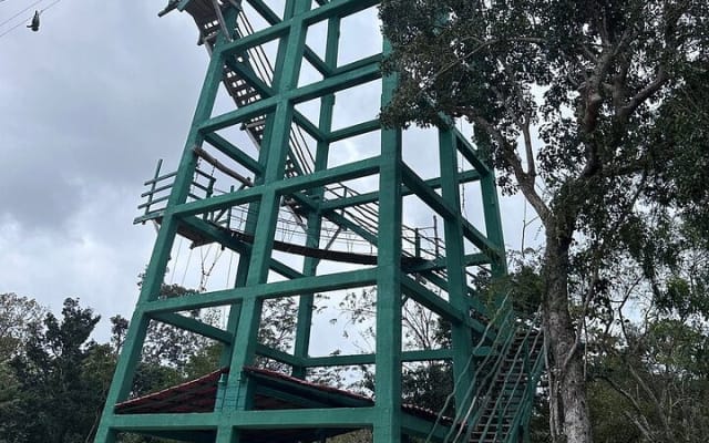 Tulum Wild Adventure Tour with ATV, Ziplining and Cenote photo 15