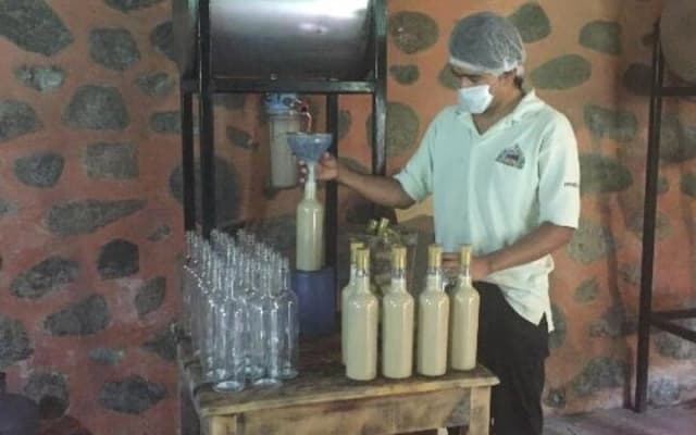 Explore Puerto Vallarta and Tequila Tasting photo 5