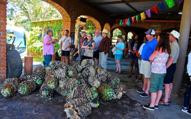 Explore Puerto Vallarta and Tequila Tasting photo 6