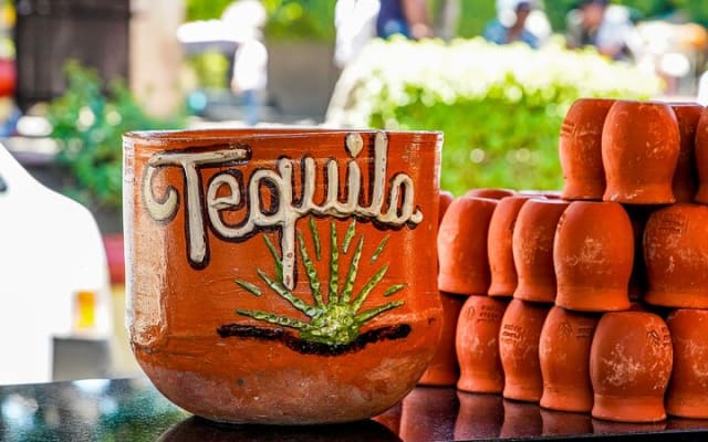 Tequila, Pueblo Mágico : excursion privée d'une journée depuis Puerto Vallarta photo 6