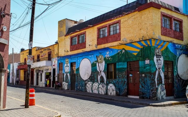 Tequila, Pueblo Mágico : excursion privée d'une journée depuis Puerto Vallarta photo 9