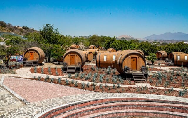 Tequila, Pueblo Mágico : excursion privée d'une journée depuis Puerto Vallarta photo 2