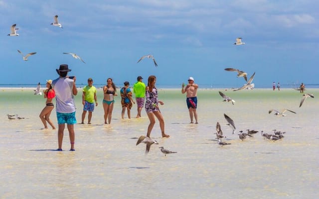 Holbox Paradise Experience photo 11