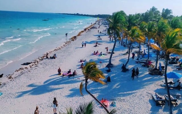 Snorkel Tulum: 2 reef point, 1 hour 20 minutes tour photo 11