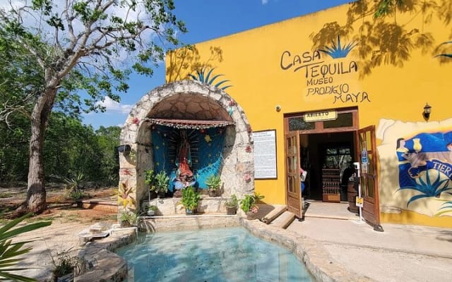 Full Day Chichén Itzá Cenote Swim and Valladolid Tour photo 8
