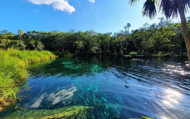 Explore Tulum Tour to Cenote and Ruins photo 7