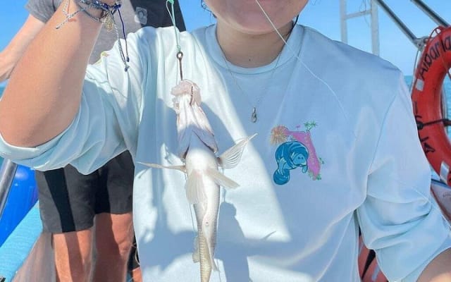 Holbox: Fishing Snorkeling in Cabo Catoche with Ceviche photo 4