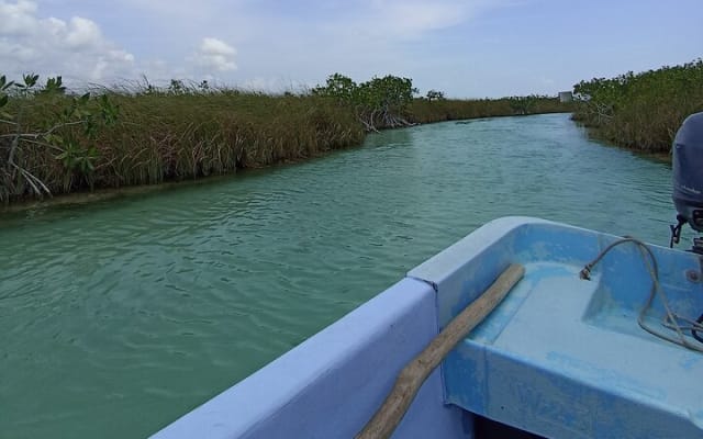 Tulum Boat Tour Sian kan muyil photo 11