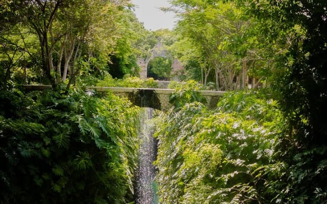 Excursion à Uxmal avec hacienda Mucuyché incluse photo 3