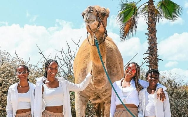 Safari à dos de chameau et expérience gastronomique à Los Cabos photo 3