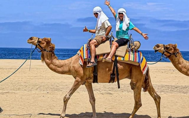 Safari à dos de chameau et expérience gastronomique à Los Cabos photo 4