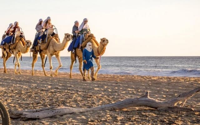 Safari à dos de chameau et expérience gastronomique à Los Cabos photo 5