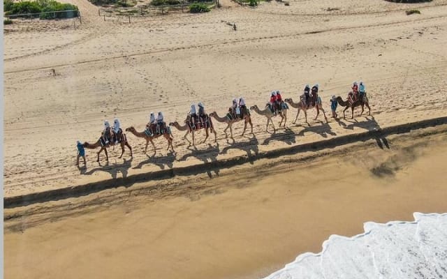 Safari à dos de chameau et expérience gastronomique à Los Cabos photo 7