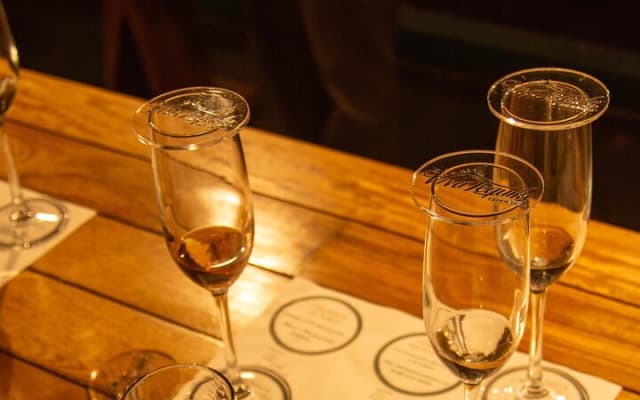 Immersive Experience & Tequila Tasting in Puerto Vallarta photo 7