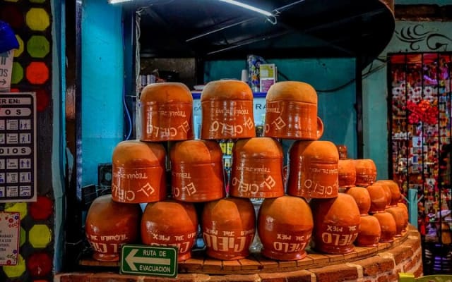 Tequila, Pueblo Mágico : excursion privée d'une journée depuis Puerto Vallarta photo 15