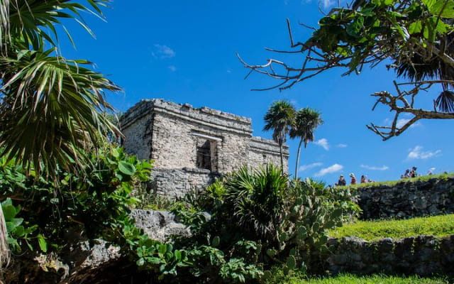 Nature Adventure at Cenote 2 Ojos and Gran Cenote! Tulum Ruins photo 6