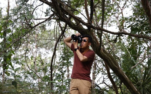 Uncharted Mayan Ruins