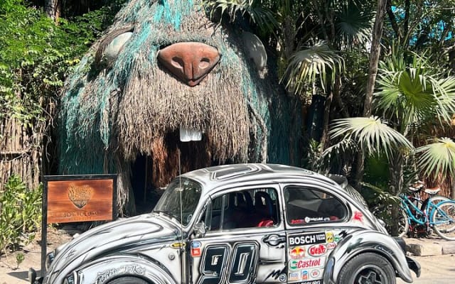 Private VW Beetle Tour Swim with Turtles, Visit Tulum Ruins&Town photo 11