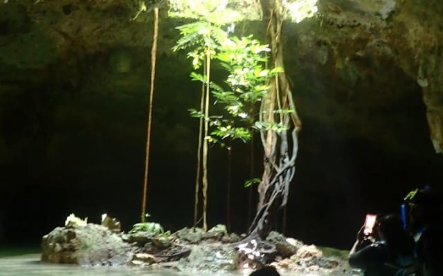 Private Tour to Sac Actun Cenote and Tacos in Tulum photo 6