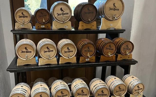 Tequila Experience History Flavor and Tradition photo 3