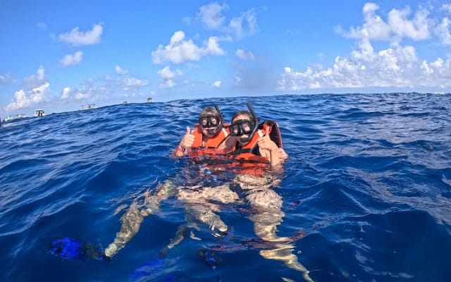 Aventure privée avec les requins-baleines à Isla Mujeres et Cancún photo 3