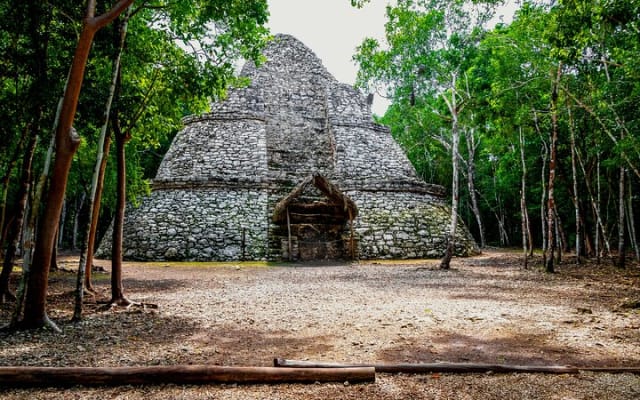 Tulum Airport Private Transfer to Hotels and Airbnbs photo 15