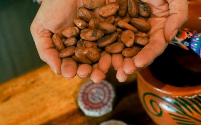 Fine Mexican Chocolate Tasting: A Sensory Luxury Journey photo 10