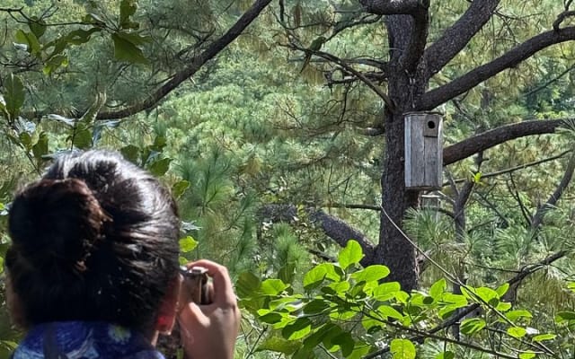 Visit the Sanctuary of the Guacamayas in free life photo 5