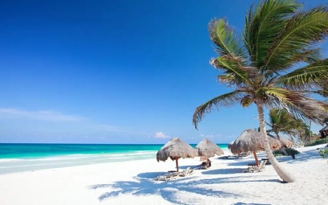 Tulum Private Driver for a Day - Up to 8 hours photo 11