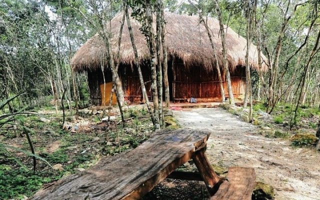 4 Cenotes Tour in Homún (Every day) photo 7