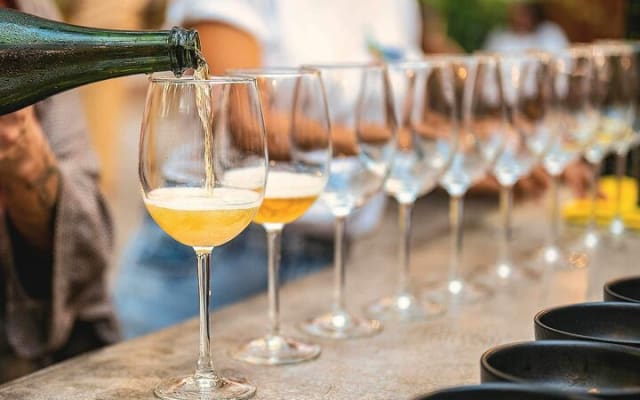 Cata de vinos mexicanos y experiencia sensorial de aromas photo 3