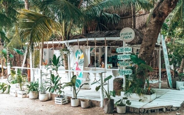Tulum Private Driver for a Day - Up to 8 hours photo 10