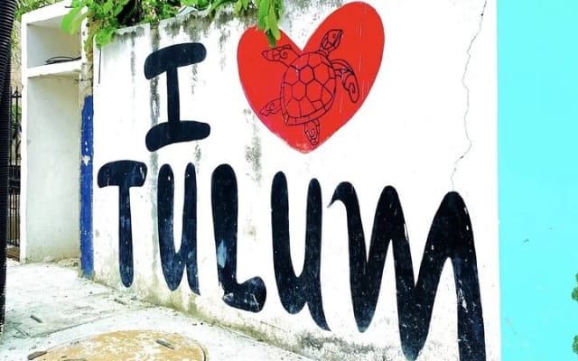 Tulum Private Driver for a Day - Up to 8 hours photo 2