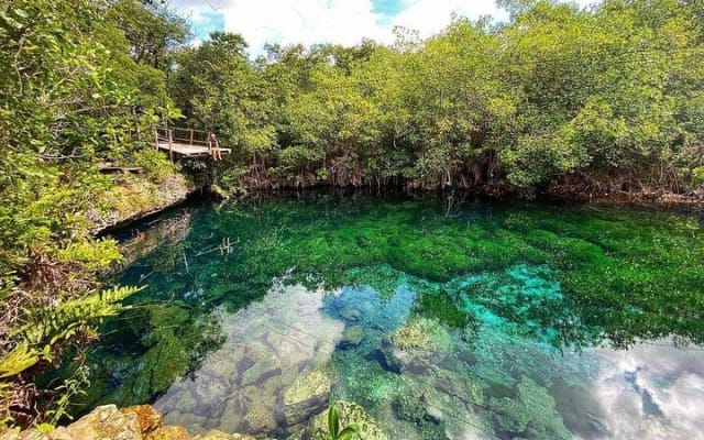 Tulum Ruins and Cenote Private Tour photo 6