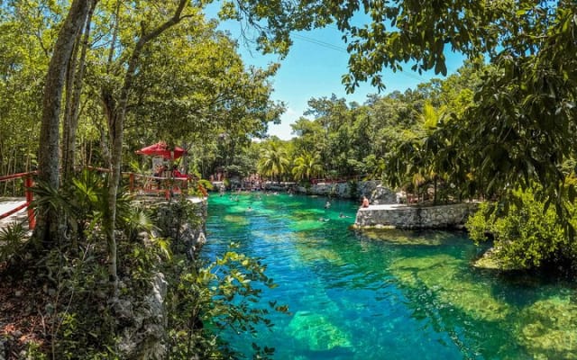 Cenotes Casa Tortuga: 5 Cenotes Day Pass photo 14
