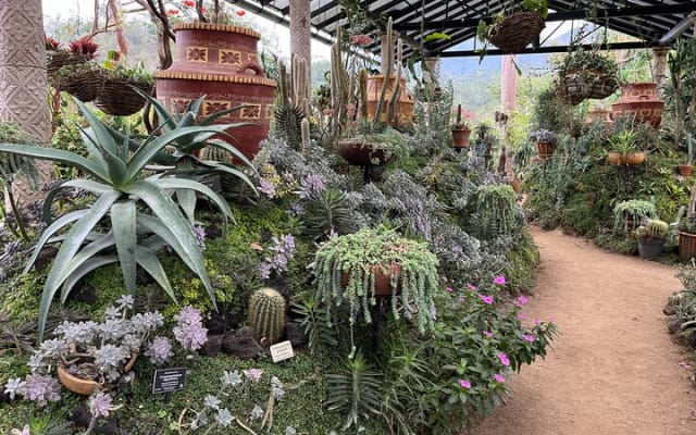Excursion privée sur la côte sud et au jardin botanique de Vallarta photo 2