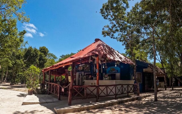 Cenotes Casa Tortuga: 5 Cenotes Day Pass photo 8