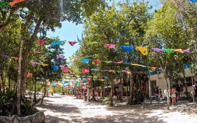 Cenotes Casa Tortuga: 5 Cenotes Day Pass photo 7