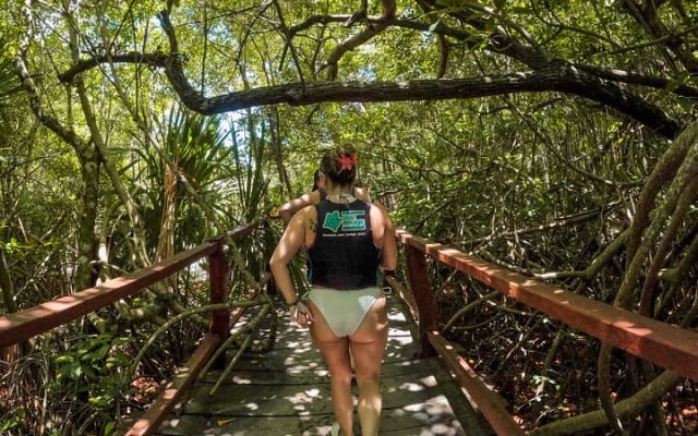 Cenotes Casa Tortuga: 5 Cenotes Day Pass photo 9