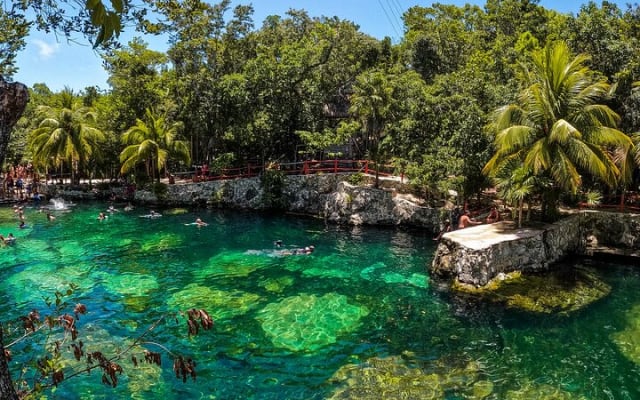 Cenotes Casa Tortuga: 5 Cenotes Day Pass photo 12