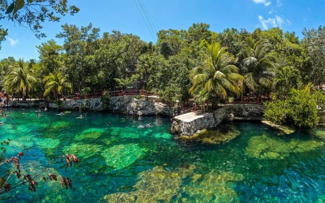 Cenotes Casa Tortuga: 5 Cenotes Day Pass photo 13