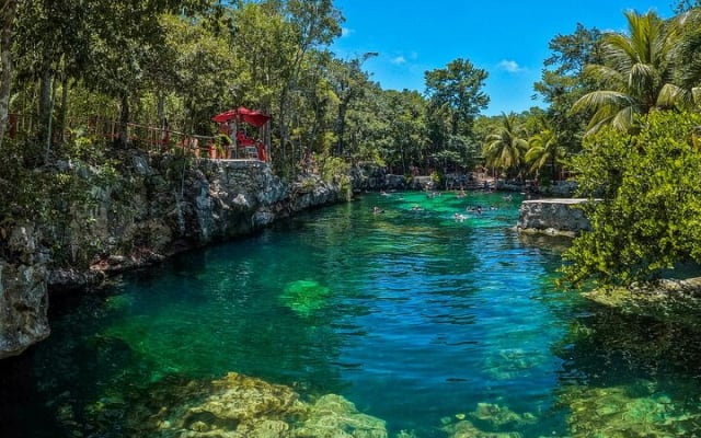 Cenotes Casa Tortuga: 5 Cenotes Day Pass photo 15