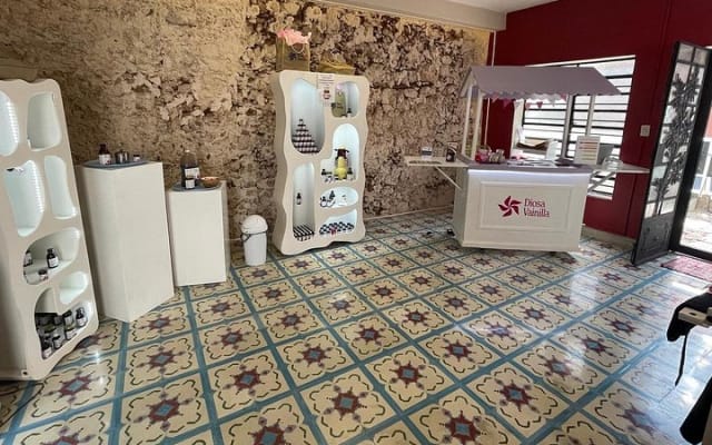 Expérience vanille : saveur, histoire, galerie et jardin photo 9