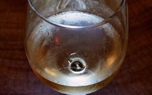 Mexican Wine Tasting Experience photo 13