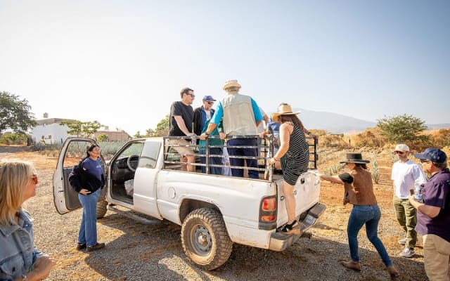 Ultimate tequila 2 day trip from Puerto Vallarta photo 3