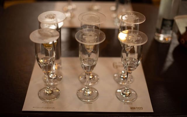 Ultimate tequila 2 day trip from Puerto Vallarta photo 9