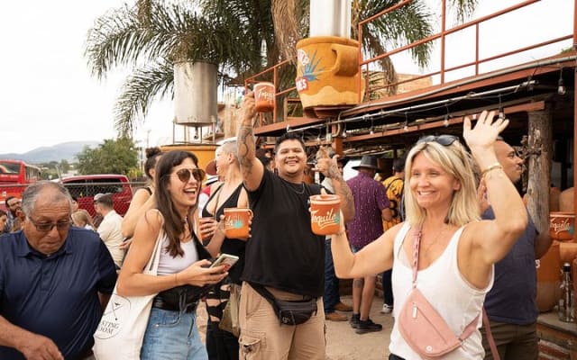 Ultimate tequila 2 day trip from Puerto Vallarta photo 14